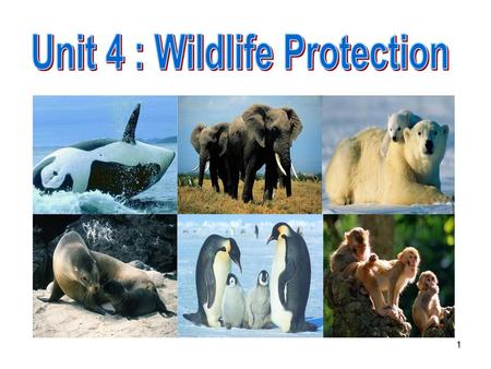 Unit 4 : Wildlife Protection