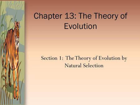 Chapter 13: The Theory of Evolution