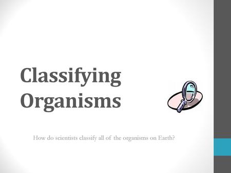 Classifying Organisms