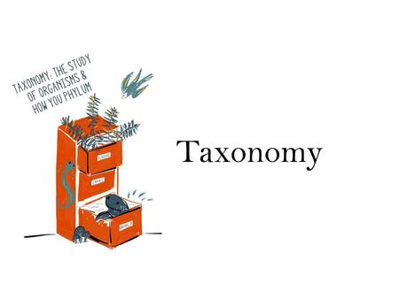 Taxonomy.