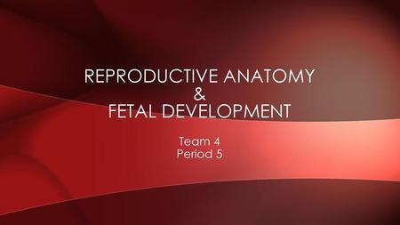 Reproductive anatomy & Fetal development