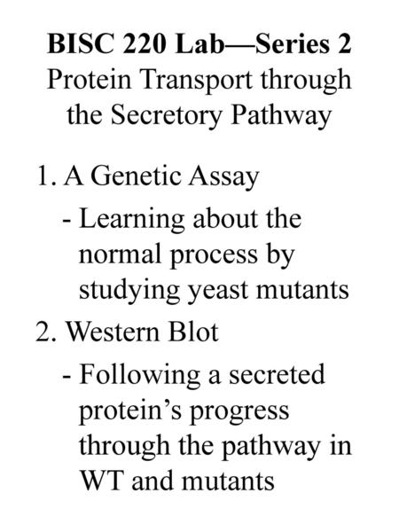 BISC 220 Lab—Series 2 Protein Transport through the Secretory Pathway