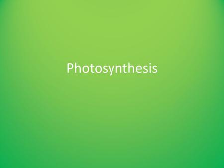 Photosynthesis.