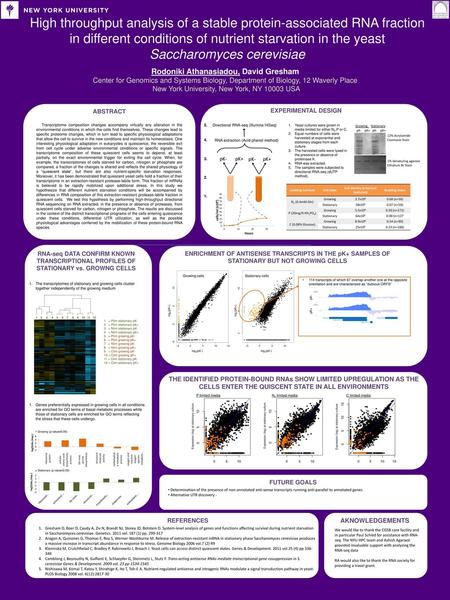 High throughput analysis of a stable protein-associated RNA fraction in different conditions of nutrient starvation in the yeast Saccharomyces cerevisiae.