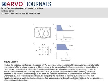 Figure Legend: in visual cortex