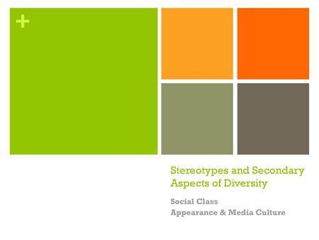 Stereotypes and Secondary Aspects of Diversity