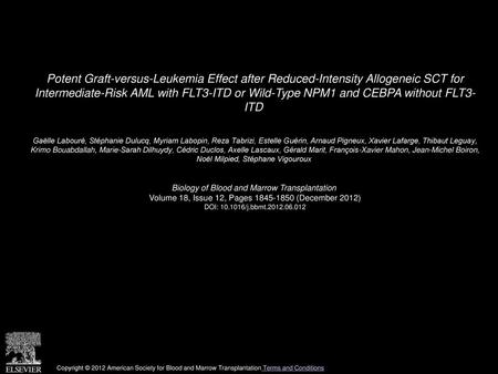 Potent Graft-versus-Leukemia Effect after Reduced-Intensity Allogeneic SCT for Intermediate-Risk AML with FLT3-ITD or Wild-Type NPM1 and CEBPA without.