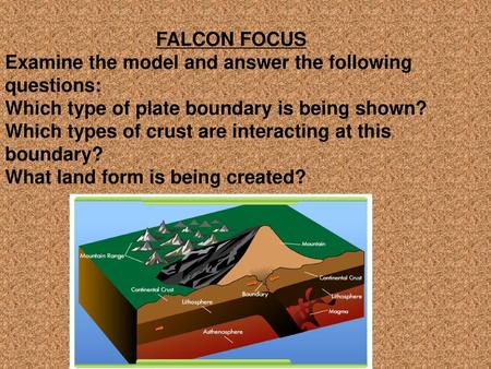 FALCON FOCUS Examine the model and answer the following questions: