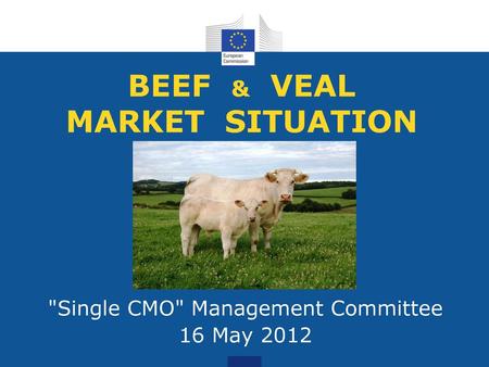 BEEF & VEAL MARKET SITUATION