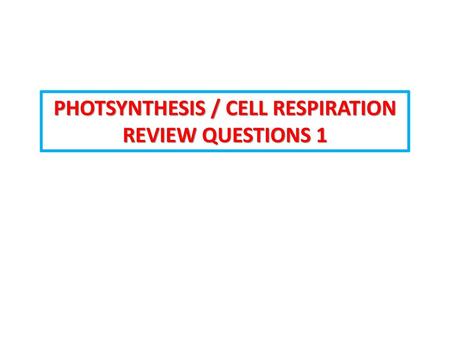 PHOTSYNTHESIS / CELL RESPIRATION REVIEW QUESTIONS 1