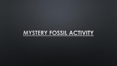 Mystery Fossil Activity