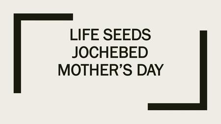 LIFE SEEDS Jochebed Mother’s Day