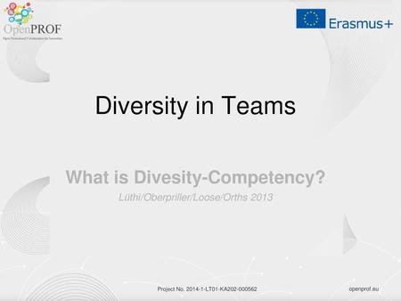 What is Divesity-Competency? Lüthi/Oberpriller/Loose/Orths 2013