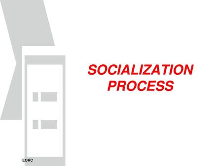 SOCIALIZATION PROCESS