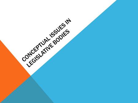 Conceptual issues in legislative bodies