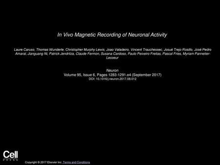 In Vivo Magnetic Recording of Neuronal Activity