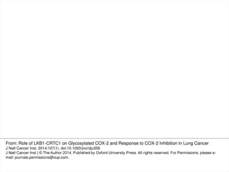 Figure 3. CRTC1 directly regulates COX-2 and predicts a positive feedback loop deregulated following LKB1 loss. A) Protein immunoblot showing fold induction.