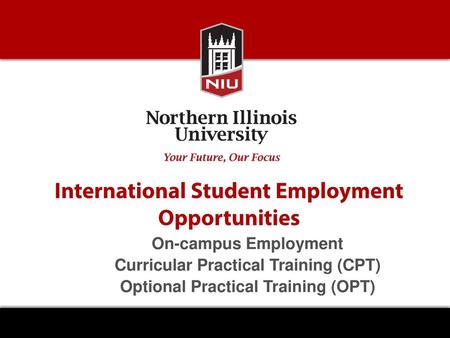 International Student Employment Opportunities