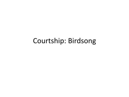 Courtship: Birdsong.