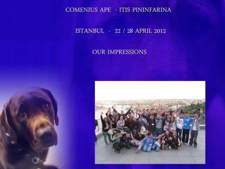 COMENIUS APE - ITIS PININFARINA