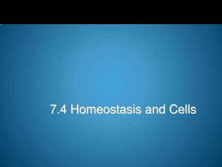 7.4 Homeostasis and Cells.