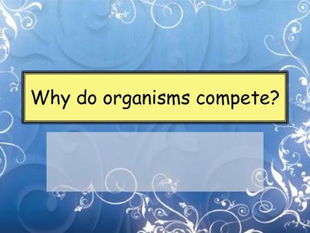 Why do organisms compete?