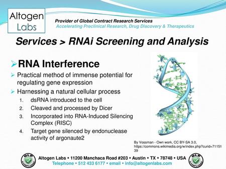 Telephone  512 433 6177  email  info@altogenlabs.com Provider of Global Contract Research Services Accelerating Preclinical Research, Drug Discovery.