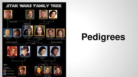 Pedigrees.