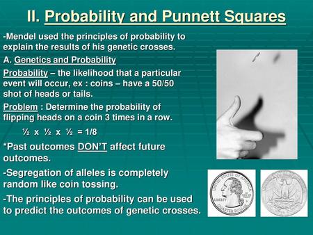 II. Probability and Punnett Squares