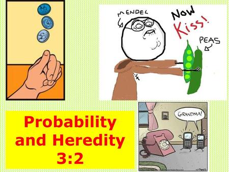 Probability and Heredity 3:2