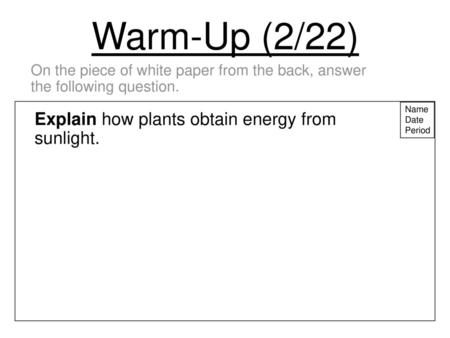 Warm-Up (2/22) Explain how plants obtain energy from sunlight.