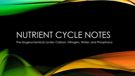 The biogeochemical cycles: Carbon, Nitrogen, Water, and Phosphorus