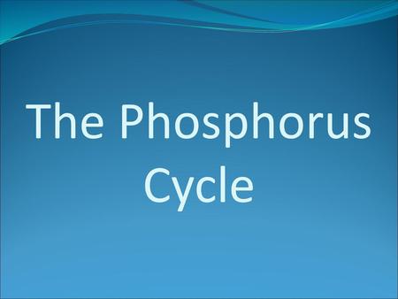 The Phosphorus Cycle.