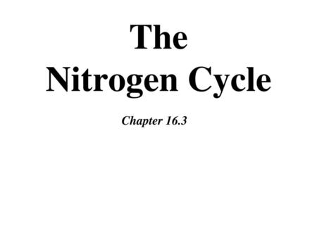 The Nitrogen Cycle Chapter 16.3.