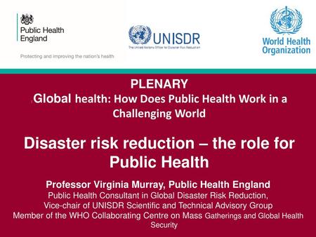 Professor Virginia Murray, Public Health England