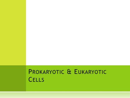 Prokaryotic & Eukaryotic Cells