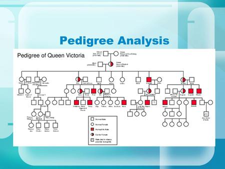 Pedigree Analysis Have you ever seen a family tree… do you have one??