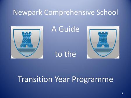 Newpark Comprehensive School