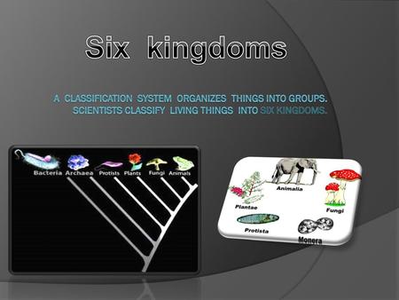 Six kingdoms a classification system organizes things into groups. Scientists classify living things into Six kingdoms.