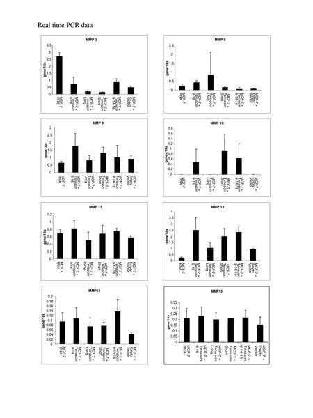 Real time PCR data MMP MCF-7 RNA MCF-7 +