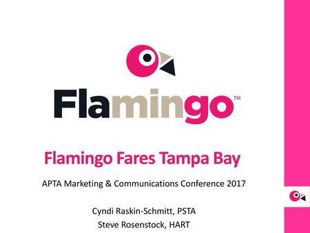 Flamingo Fares Tampa Bay