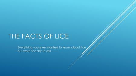 Everything you ever wanted to know about lice but were too shy to ask.