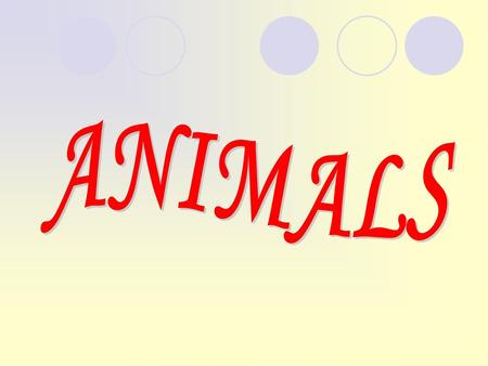 ANIMALS.