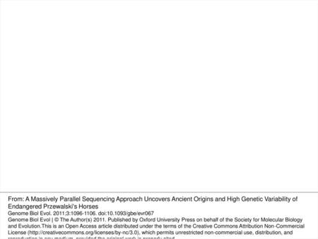 FIG. 2.— Phylogenetic tree and divergence time estimates for mtDNA sequences of Przewalski's and domestic horses. The results of analysis carried out in.