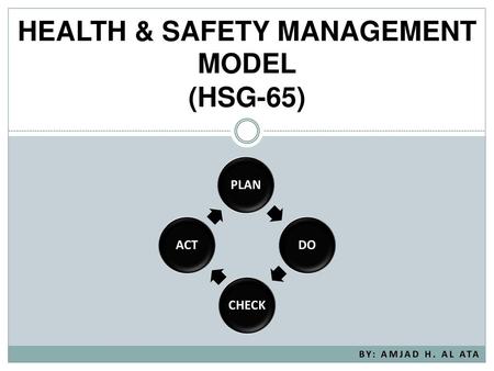 HEALTH & SAFETY MANAGEMENT MODEL (HSG-65)