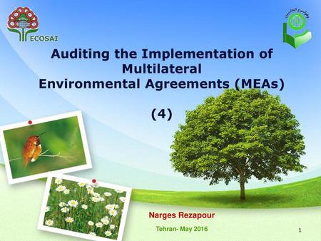 Auditing the Implementation of Multilateral Environmental Agreements (MEAs) (4) Narges Rezapour Tehran- May 2016.