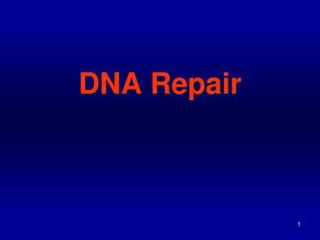 DNA Repair.