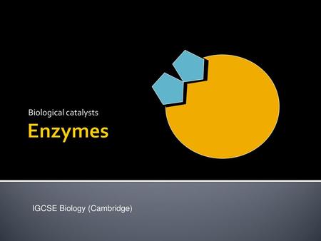 Biological catalysts Enzymes IGCSE Biology (Cambridge)