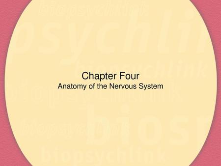 Chapter Four Anatomy of the Nervous System