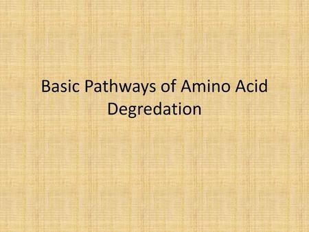 Basic Pathways of Amino Acid Degredation